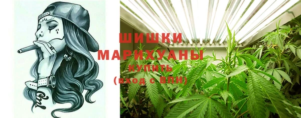 ГАЛЛЮЦИНОГЕННЫЕ ГРИБЫ Нязепетровск