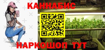 стафф Гусев