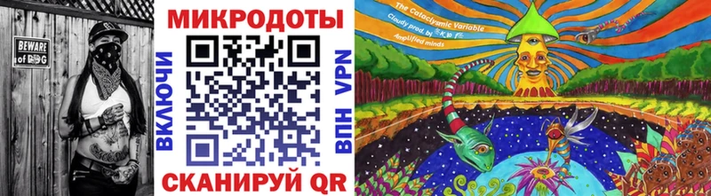 Псилоцибиновые грибы Psilocybe  Саки 