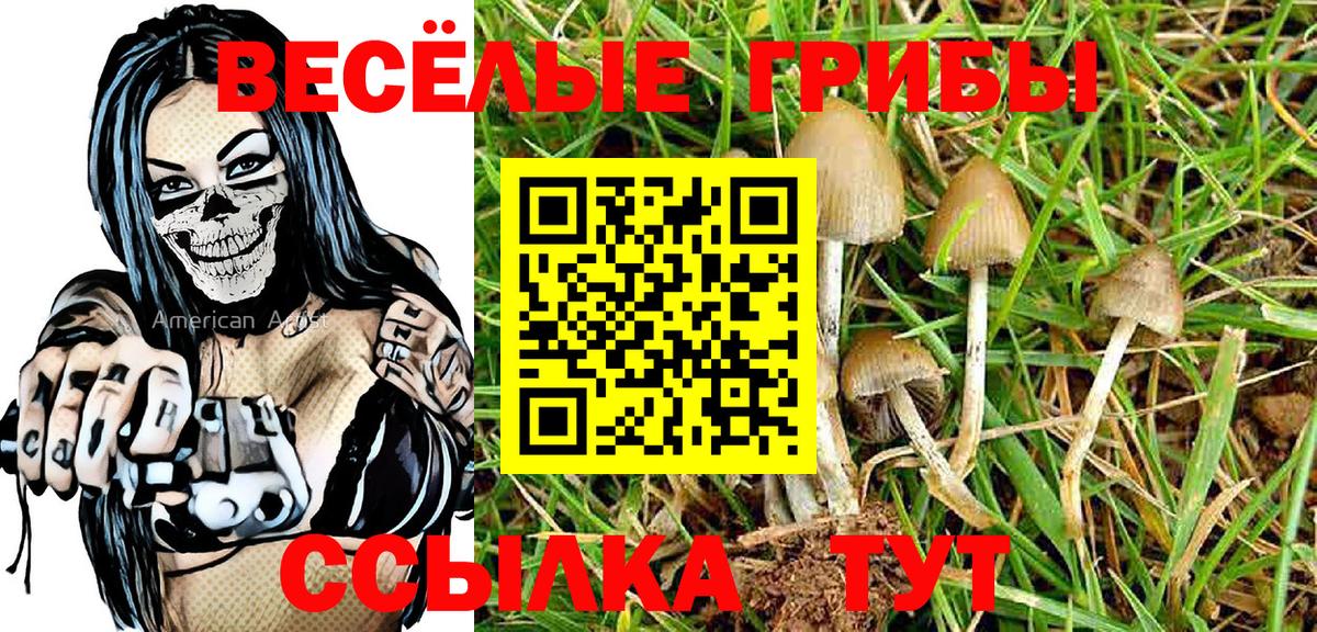 Галлюциногенные грибы Cubensis  Саки 