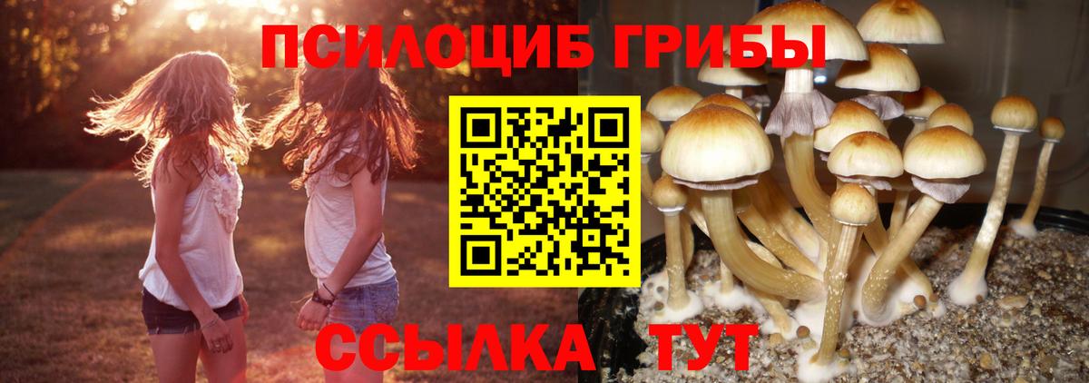 Галлюциногенные грибы прущие грибы  Вход с VPN  Саки 